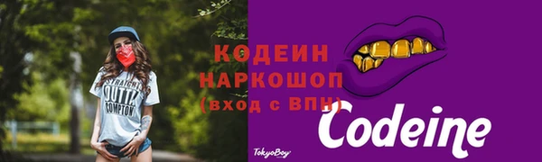 шишки Богородск